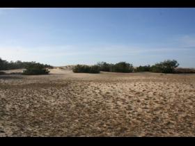 Biscarrosse plage