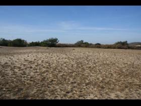 Biscarrosse plage