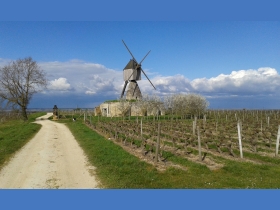 Moulin de la Tranchée MONTSOREAU