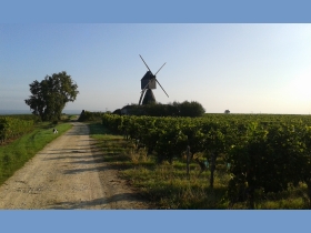 Moulin de la Tranchée MONTSOREAU