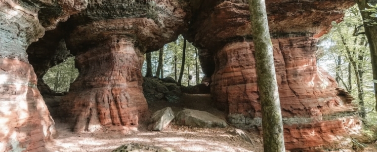 Photo Randonnée à Altschlossfelsen : un décor de conte de fées dans le Pays de Bitche - voyage Eppenbrunn