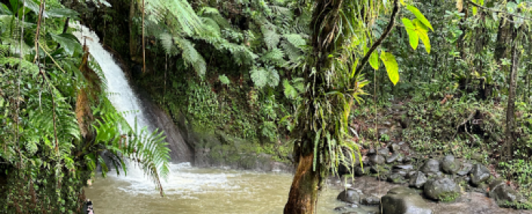 Photo La Cascade aux Écrevisses - voyage Petit-Bourg