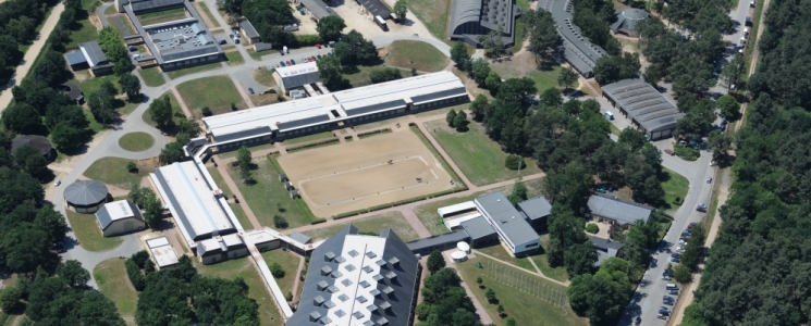 Photo L'école Nationale d'Equitation - voyage Saumur
