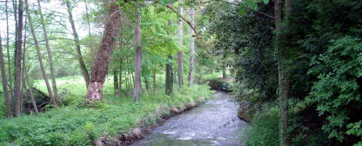 Photo Les chemins de randonnée - voyage Luché-Pringé
