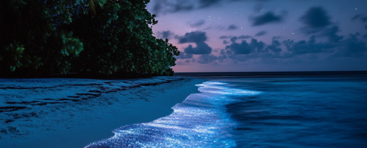 Photo Maldives : 10 expériences uniques à vivre entre terre et mer - voyage Malé