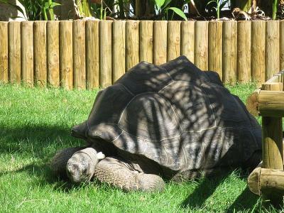 Photo Ménagerie du Jardin des plantes - voyage Paris