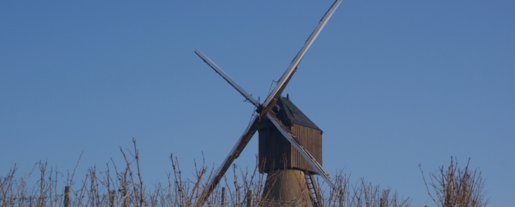 Photo Le Moulin à vent de la Pinsonnerie - voyage Faye-d'Anjou
