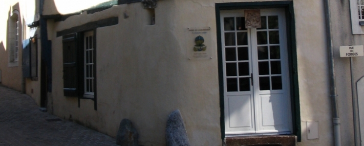 Photo Le Musée de l'Homme Volant - voyage Sablé-sur-Sarthe

