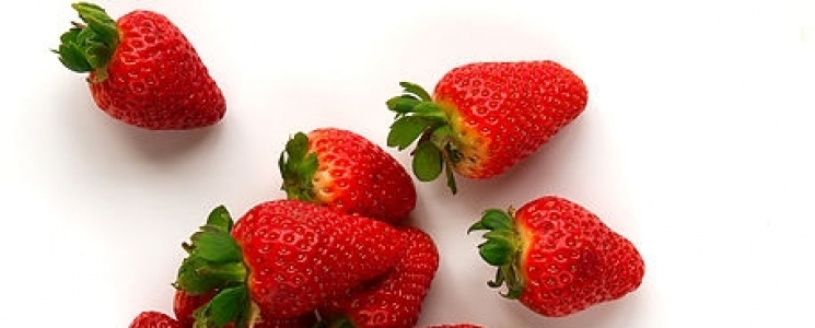 Photo Le Musée de la Fraise - voyage Namur