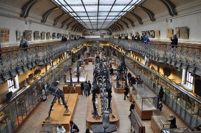 Photo Muséum national d'histoire naturelle - voyage Paris