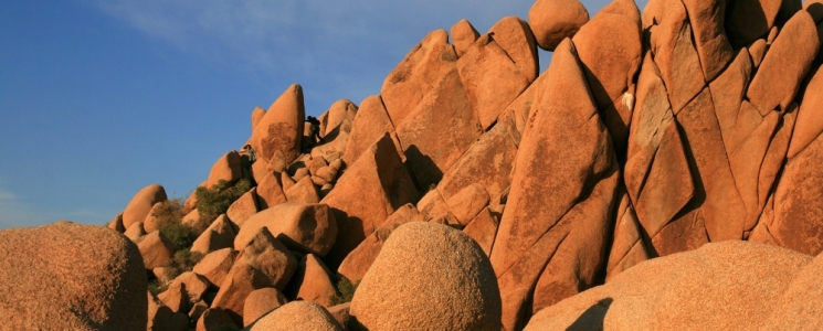 Photo Parc National Joshua Tree - voyage Los Angeles