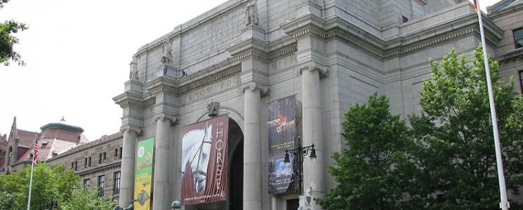 Photo Musée Américain d'Histoire Naturelle - voyage New York