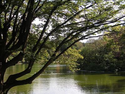 Photo Parc Montsouris - voyage Paris