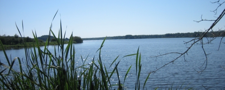 Photo Le Parc Naturel Régional de la Brenne - voyage Azay-le-Ferron
