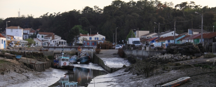 Photo Le Port Ostréicole de Saint Trojan  - voyage Saint-Trojan-les-Bains

