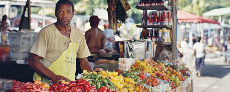 Photo Le marché de Sainte-Anne - voyage Sainte-Anne